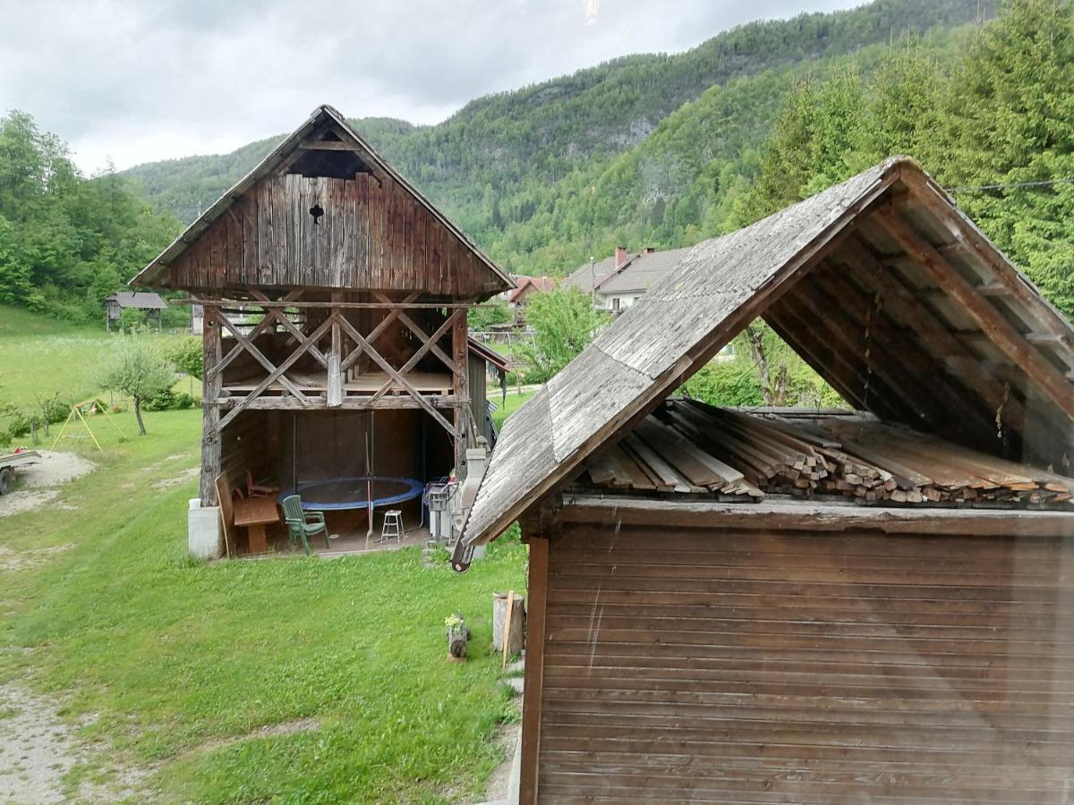 Apartment House Andrej Bohinj Exteriér fotografie